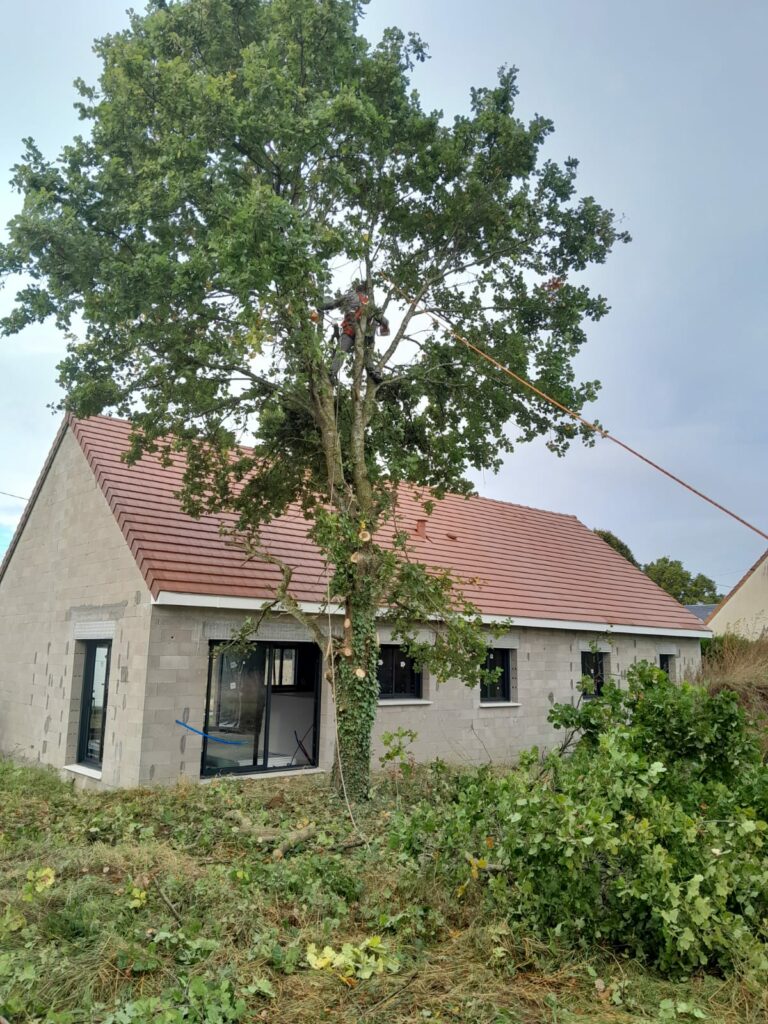 Intervention élagage d'un arbre Eure-et-Loir (28) RD 28