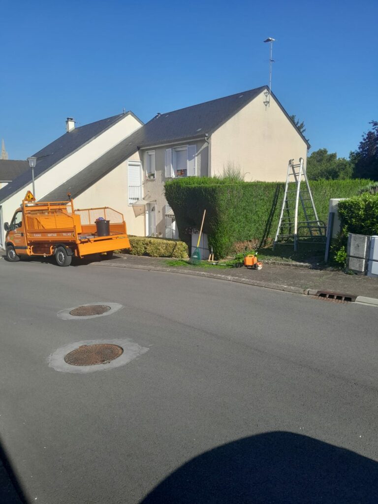 Réalisation taille de haie Eure-et-Loir (28) RD Élagage