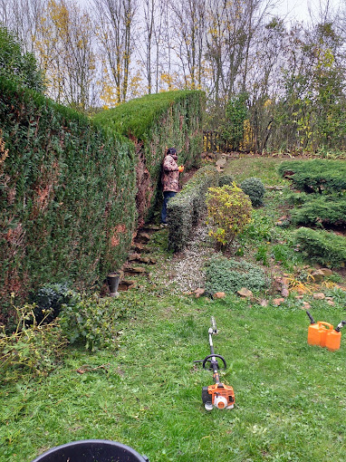 Entretien espaces verts jardin, taille de haies, arbustes etc.